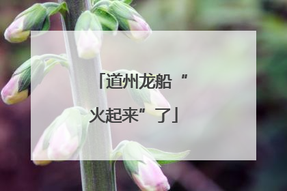 道州龙船“火起来”了