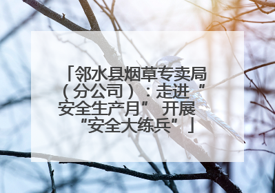 邻水县烟草专卖局（分公司）：走进“安全生产月” 开展“安全大练兵”