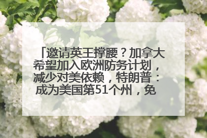 邀请英王撑腰？加拿大希望加入欧洲防务计划，减少对美依赖，特朗普：成为美国第51个州，免费用“金穹”