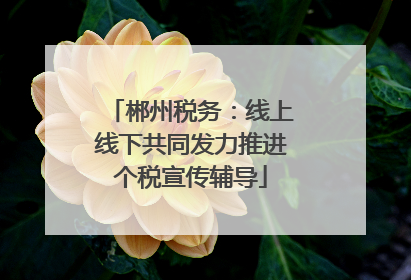 郴州税务：线上线下共同发力推进个税宣传辅导
