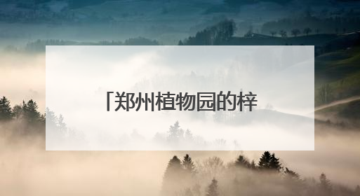 郑州植物园的梓树结“豆角”了