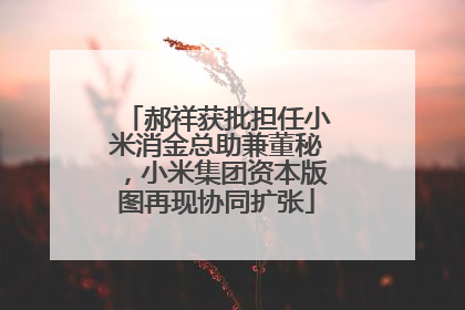 郝祥获批担任小米消金总助兼董秘，小米集团资本版图再现协同扩张