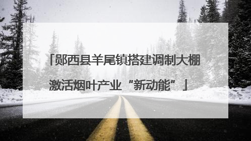郧西县羊尾镇搭建调制大棚激活烟叶产业“新动能”