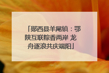 郧西县羊尾镇：鄂陕互联粽香两岸 龙舟逐浪共庆端阳