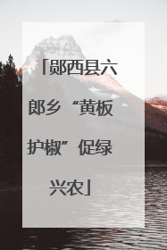 郧西县六郎乡“黄板护椒”促绿兴农