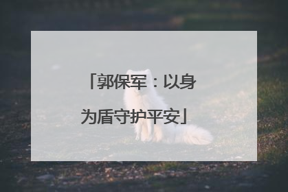 郭保军：以身为盾守护平安