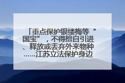 重点保护银缕梅等“国宝”，不得擅自引进、释放或丢弃外来物种……江苏立法保护身边的生物“朋友圈”