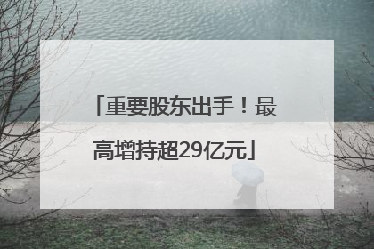 重要股东出手！最高增持超29亿元