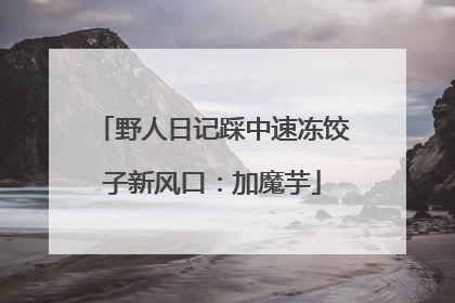 野人日记踩中速冻饺子新风口：加魔芋