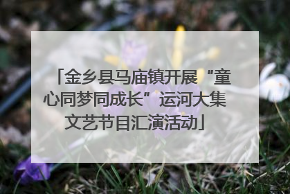 金乡县马庙镇开展“童心同梦同成长”运河大集文艺节目汇演活动