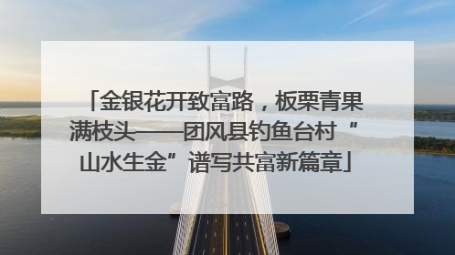 金银花开致富路，板栗青果满枝头——团风县钓鱼台村“山水生金”谱写共富新篇章