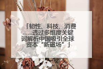 韧性、科技、消费……透过多维度关键词解析中国吸引全球资本“新磁场”
