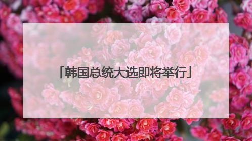 韩国总统大选即将举行