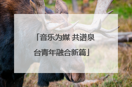 音乐为媒 共谱泉台青年融合新篇