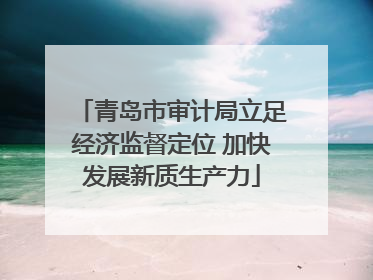 青岛市审计局立足经济监督定位 加快发展新质生产力