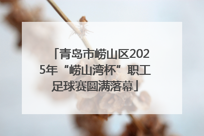 青岛市崂山区2025年“崂山湾杯”职工足球赛圆满落幕