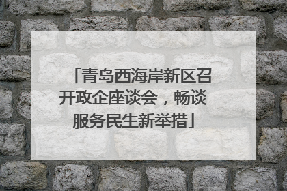 青岛西海岸新区召开政企座谈会，畅谈服务民生新举措