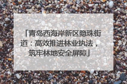 青岛西海岸新区隐珠街道：高效推进林业执法，筑牢林地安全屏障