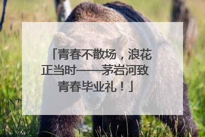 青春不散场，浪花正当时——茅岩河致青春毕业礼！