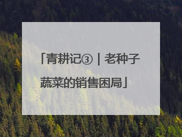 青耕记③｜老种子蔬菜的销售困局