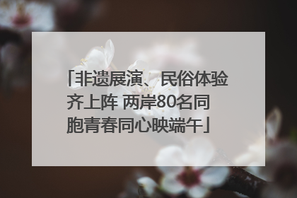 非遗展演、民俗体验齐上阵 两岸80名同胞青春同心映端午