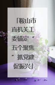 鞍山市直机关工委锚定“五个聚焦”抓党建促振兴