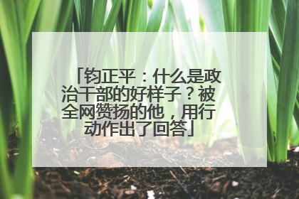 钧正平:什么是政治干部的好样子?被全网赞扬的他,用行动作出了回答