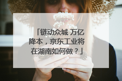 链动众城 万亿降本，京东工业将在湖南如何做？