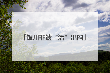 银川非遗“活”出圈