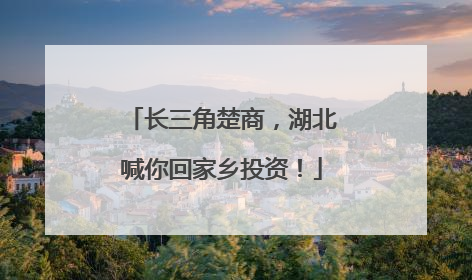 长三角楚商，湖北喊你回家乡投资！