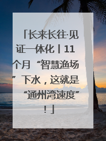 长来长往·见证一体化丨11个月“智慧渔场”下水，这就是“通州湾速度”！