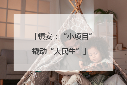 镇安：“小项目”撬动“大民生”