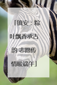镇安：粽叶飘香承古韵 志愿传情暖端午