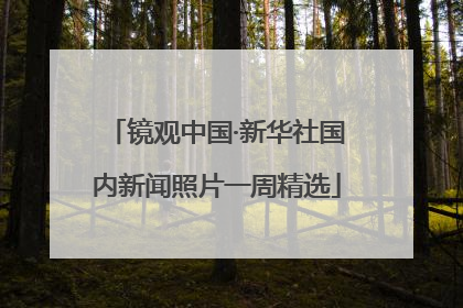镜观中国·新华社国内新闻照片一周精选