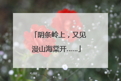 阴条岭上，又见漫山海棠开……