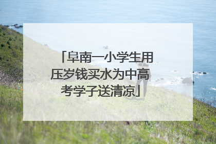 阜南一小学生用压岁钱买水为中高考学子送清凉