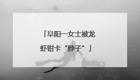 阜阳一女士被龙虾钳卡“脖子”