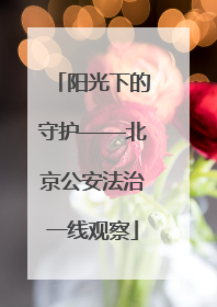 阳光下的守护——北京公安法治一线观察