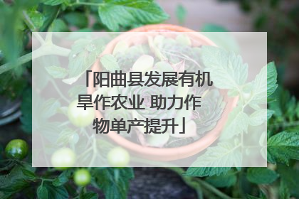 阳曲县发展有机旱作农业 助力作物单产提升