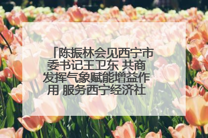 陈振林会见西宁市委书记王卫东 共商发挥气象赋能增益作用 服务西宁经济社会高质量发展