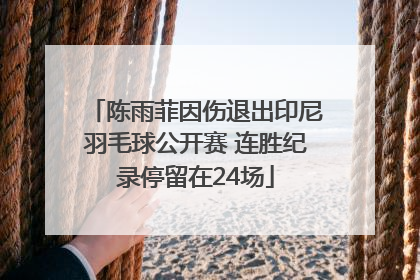 陈雨菲因伤退出印尼羽毛球公开赛 连胜纪录停留在24场