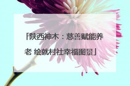 陕西神木：慈善赋能养老 绘就村社幸福图景