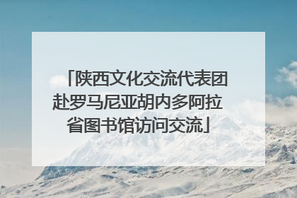陕西文化交流代表团赴罗马尼亚胡内多阿拉省图书馆访问交流