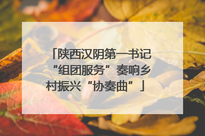 陕西汉阴第一书记“组团服务”奏响乡村振兴“协奏曲”