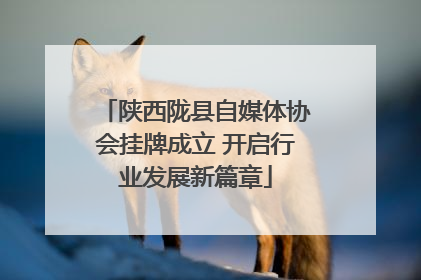 陕西陇县自媒体协会挂牌成立 开启行业发展新篇章