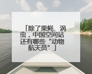 除了果蝇、涡虫，中国空间站还有哪些“动物航天员”