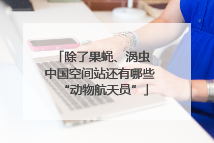 除了果蝇、涡虫 中国空间站还有哪些“动物航天员”