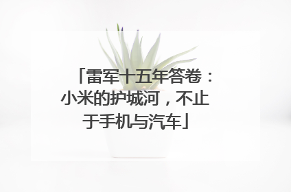 雷军十五年答卷：小米的护城河，不止于手机与汽车