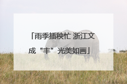 雨季插秧忙 浙江文成“丰”光美如画
