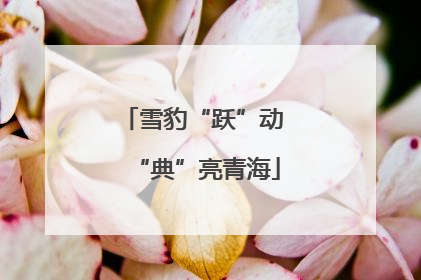 雪豹“跃”动 “典”亮青海